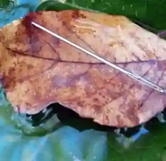 Compass Making