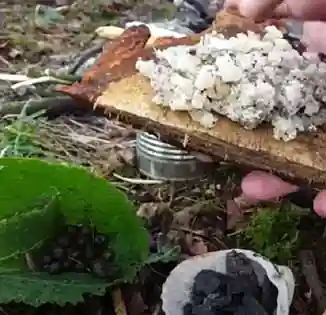 Glue Making