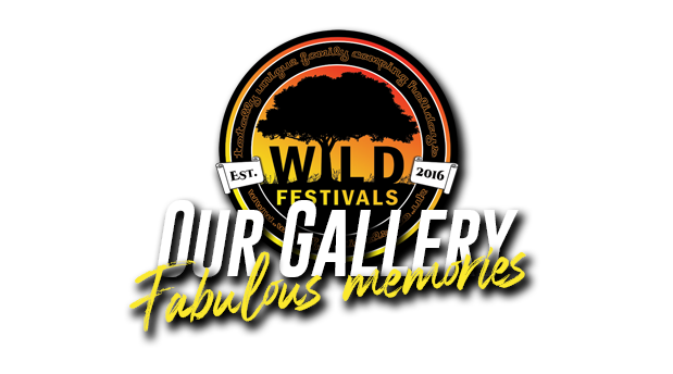 Wild Festivals Music Festival Company Photos Banner