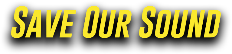 Save Our Sound Banner