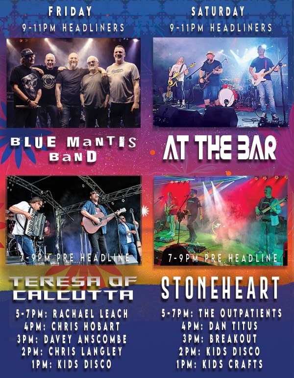 WildFest Essex music weekend line up
