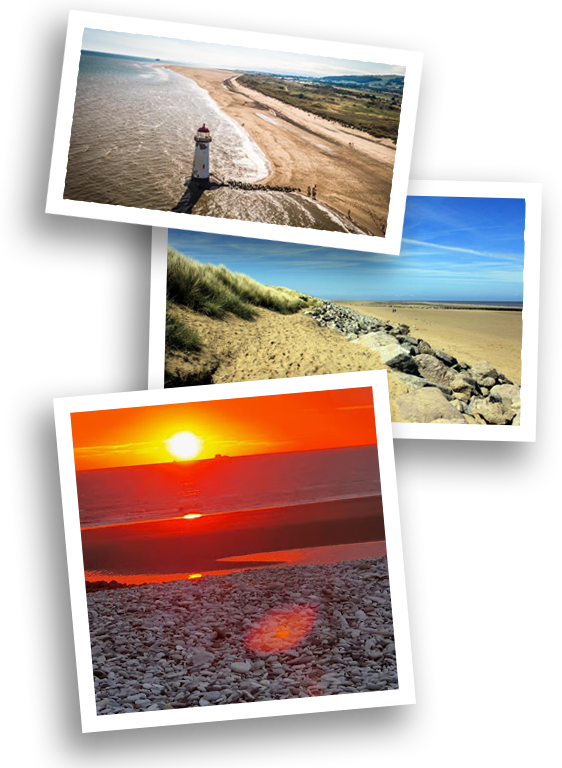 Wild Festivals beached in wales