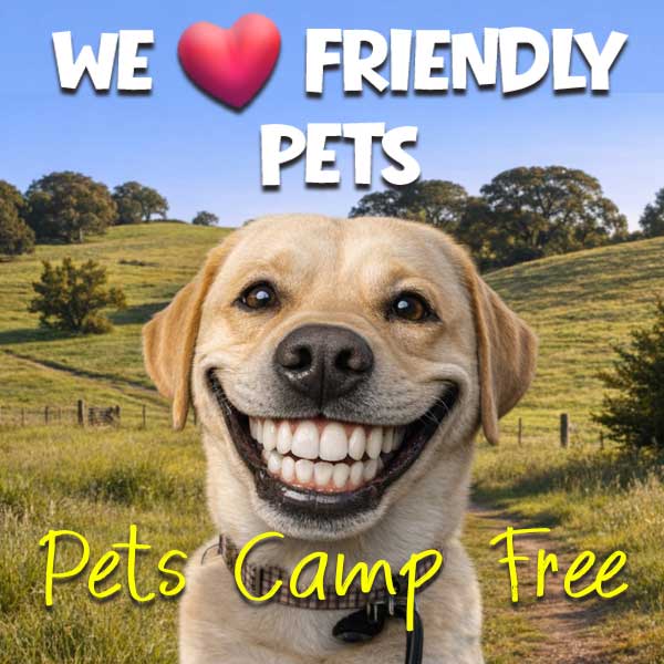 Wild Festivals Riva the dog smiling