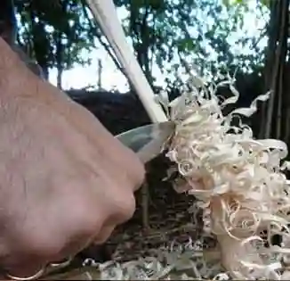Spoon Carving